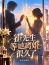 霍先生等她离婚很久了